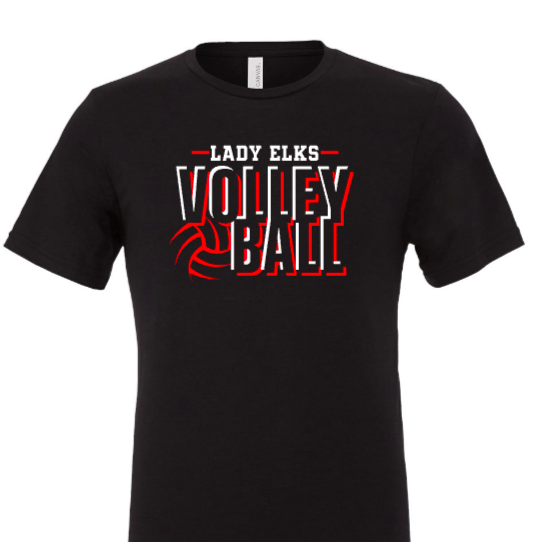 Elks Volleyball 4