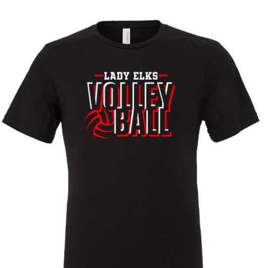 Elks Volleyball 4