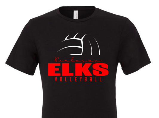 Elks Volleyball 1