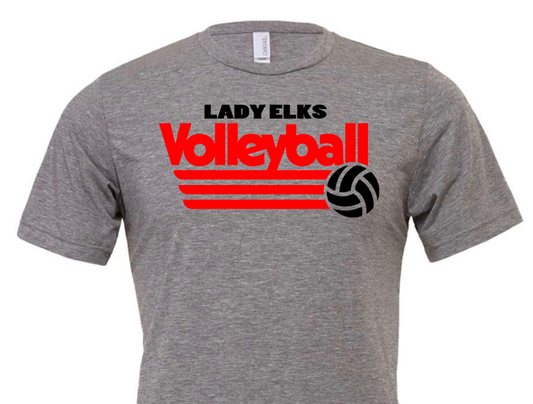 Elks Volleyball 6