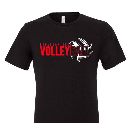 Elks Volleyball 3