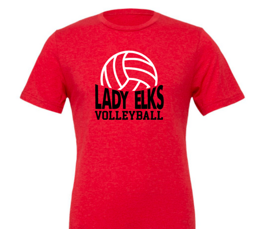 Elks Volleyball 2