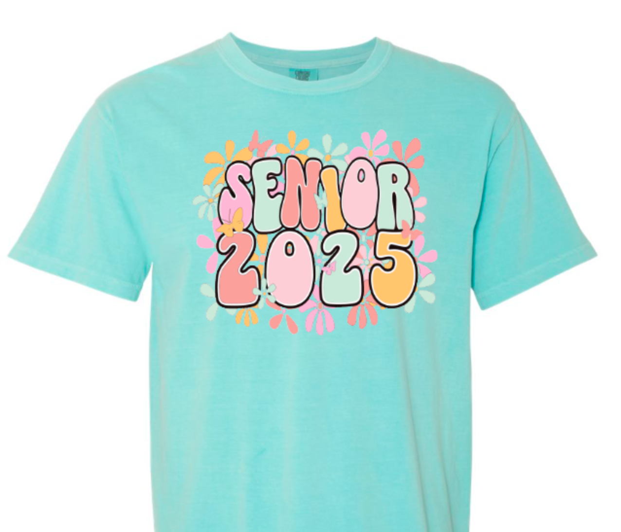 Senior 2025 hippy