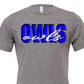 Owls blue