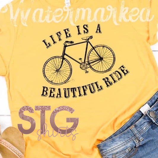 Life is a beautiful ride.